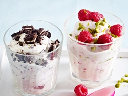 Der Wesentliche Leitfaden Zur Suche Nach Dem Besten Frozen Yogurt Maker  Bewertungen